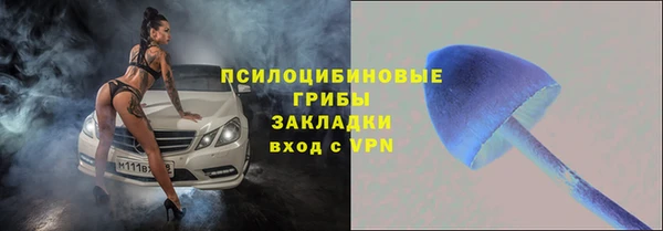 стафф Гусь-Хрустальный